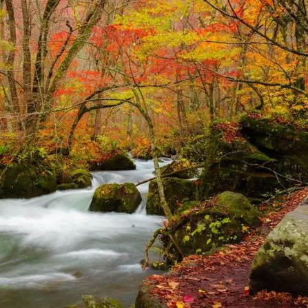 燃情青春热血燃！2025动感地带电竞联赛辽宁东北大学海选巅峰落幕，青春风采闪耀！