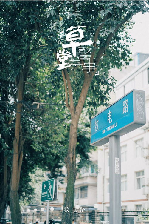 绿牌变白牌新技能：UV灯照射，网友直呼“帅爆”交警蜀黍也认可