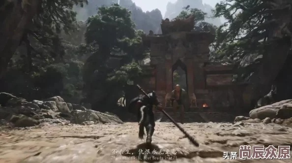 《黑神话悟空》全种子获取秘籍，高效收集攻略大揭秘