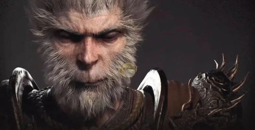 《黑神话悟空》毛毛互秒攻略：掌握毒敌大王秒杀技巧，高效战斗新策略