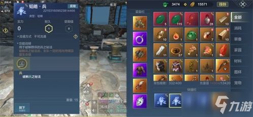 蜂山石髓获取攻略：高效秘法解锁新境界