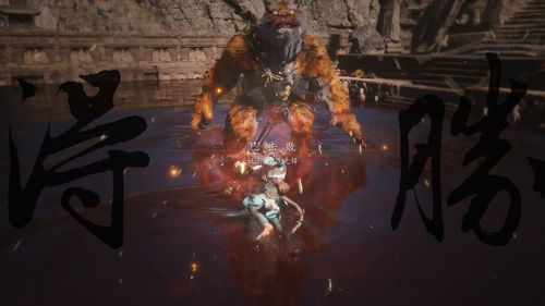 《黑神话悟空》周目巅峰装备攻略，解锁全新战斗力！