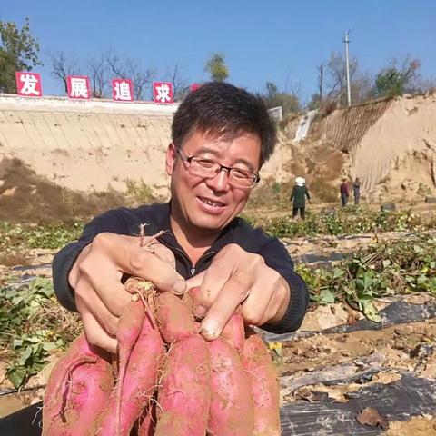 火焰山土地高效攻略，掌握全新打法技巧