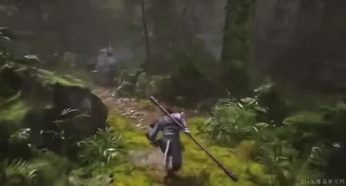 《黑神话悟空》毒爆伤流攻略：深度解析全新战斗技巧