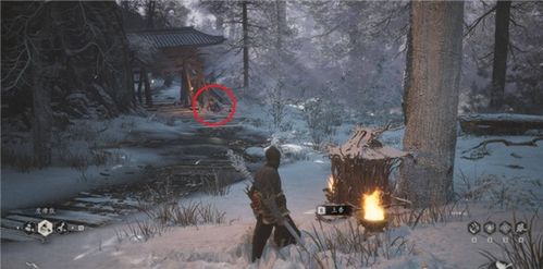 《黑神话悟空》精魄秘境，揭秘禁地布局攻略