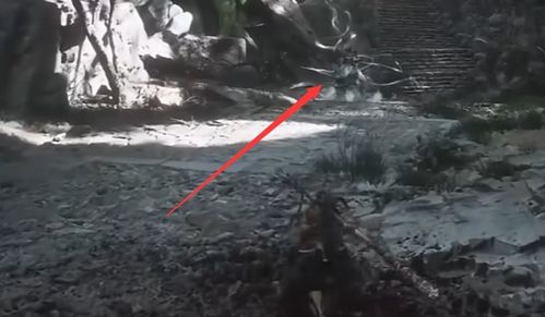 《黑神话悟空》黄花观全收集攻略，深度解析新视角解锁秘籍