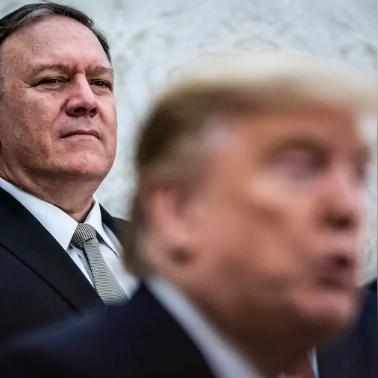 《匹诺曹谎言》版本差异大揭秘，深度解析全新价值点