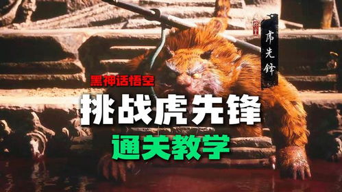 高效攻略！虎先锋实战技巧，轻松掌握《黑神话悟空》战斗精髓