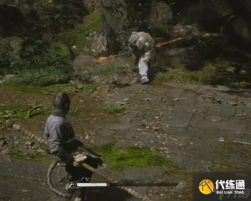 《黑神话悟空》广智攻略：高效打法解析，掌握绝学精髓