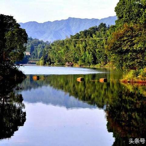 《浮游》全攻略：深度解析，通关秘籍大公开！