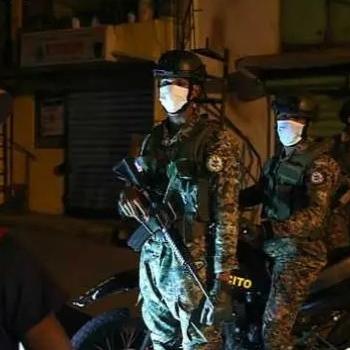 惊曝：实验猴逃脱事件续集，美国第二只猴遭射杀，仅剩孤猴逃亡中