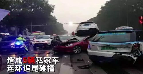 特斯拉惨案：国道野猪撞击，车主全责判决揭示真相