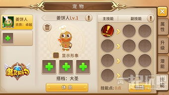 《无畏契约》全等级展示：彩虹魔力小白马套装，揭秘独特魅力新体验