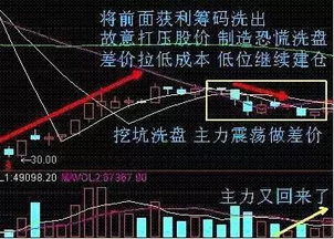 绝区零零号核心高烈度战法攻略，揭秘高效破局新策略