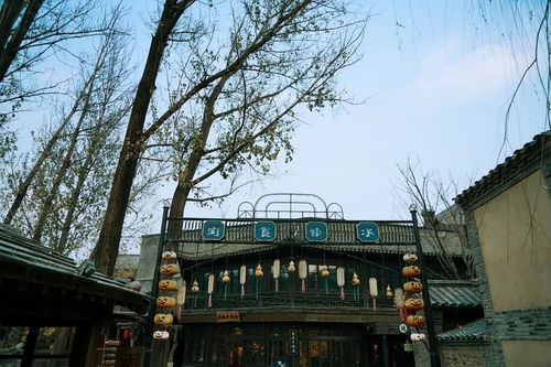 心动小镇白秋沙鸭现踪点揭秘攻略