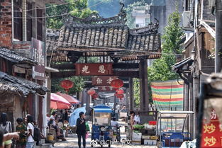 《心动小镇》红脚隼藏匿秘境大揭秘，探秘新奇景点！