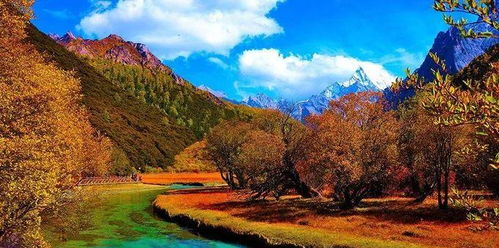 铜蓝鹟藏匿秘境，心动小镇探秘指南