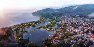 《心动小镇》仙靓唐纳雀寻踪记：探寻神秘仙鸟的栖息地