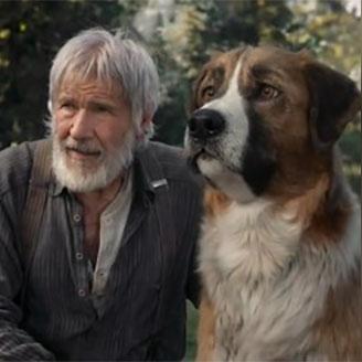 《驯龙高手旅程》兑换码攻略：官方秘籍大公开