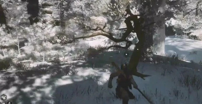 树珍珠功效揭秘：解锁《黑神话悟空》神秘力量