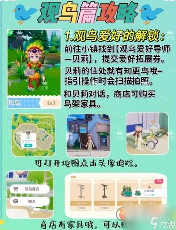 《心动小镇》海鸥觅食秘境揭晓