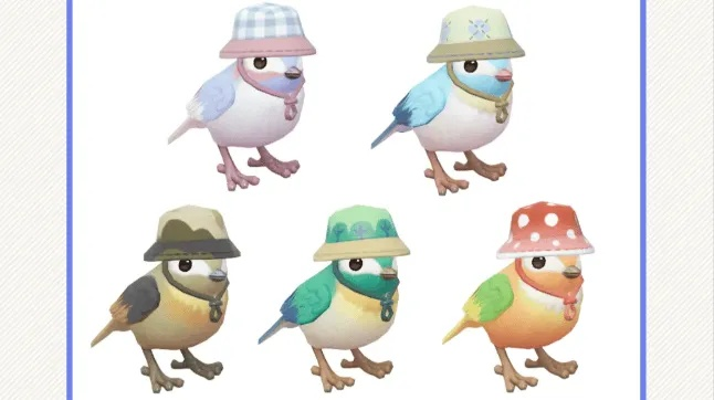 赤颈鸭现身揭秘，心动小镇探秘新亮点