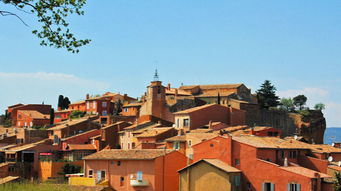 巨地鸠藏匿之谜：心动小镇探秘新线索