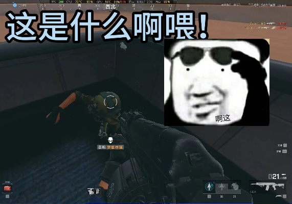 三角洲行动爆笑瞬间，揭秘搞笑新高度