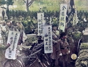 东京紧急应对：警方持枪应对入侵熊害，守护城市安全新篇章