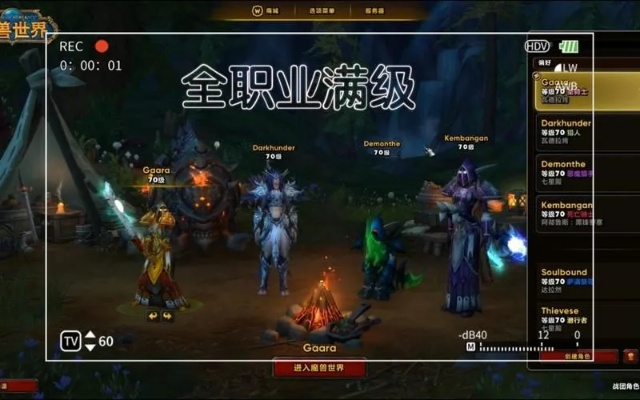 《魔兽世界》11.0职业深度解析，种族攻略助力新手畅游江湖