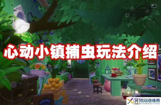 四星瓢虫捕捉攻略：心动小镇独家捕捉秘境揭晓