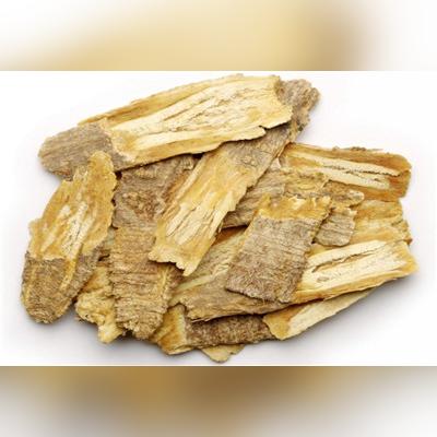 《心动小镇》豹纹网蛱蝶捕捉攻略，一网打尽新技巧