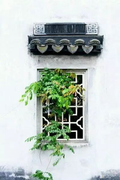 《心动小镇》捕捉美丽星花金龟，探秘独特新技巧