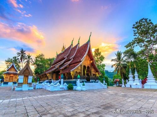 《心动小镇》捕捉大蓝闪蝶秘境揭晓，探秘新奇体验！