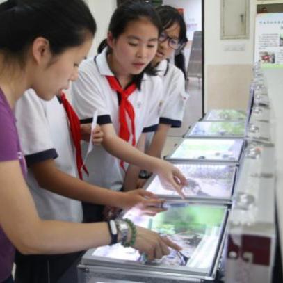 《心动小镇》探秘：高山长角天牛捕捉秘境揭晓