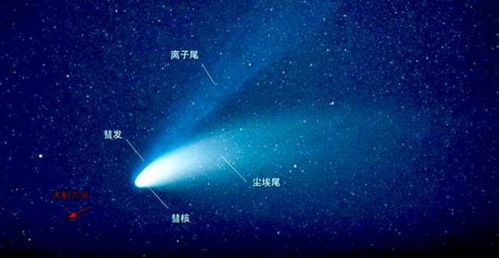 捕捉攻略：揭秘心动小镇彗星飞蛾新位置