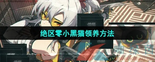 绝区零小黑领养攻略：轻松解锁领养秘籍，解锁新宠养成技巧