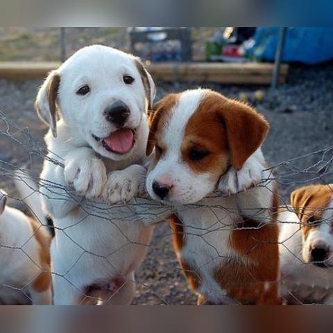 《七日世界》黑心地带武器配件攻略：全面解锁新技能秘籍