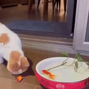 《七日世界》猎人枪法秘籍：居合流拔枪技巧深度解析