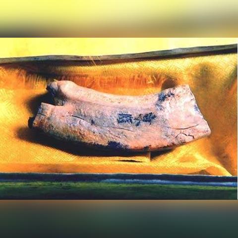 《王国保卫战5联盟》全援军集结！揭秘全新战略价值解析