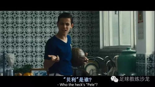 世界末日，宅男逆袭：揭秘恋爱新机遇