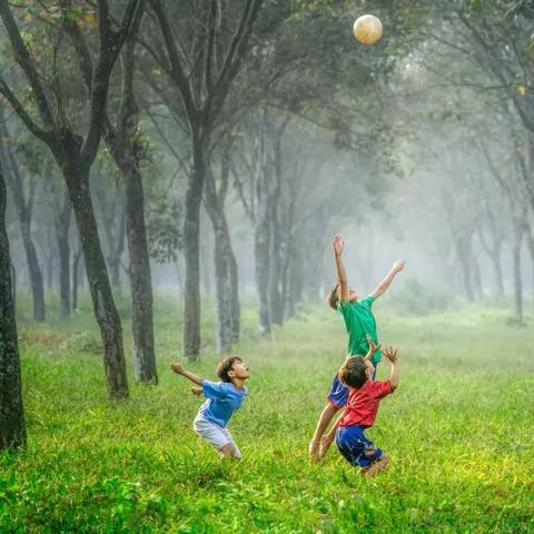 《失落城堡2》营地投资攻略，解锁财富新秘籍