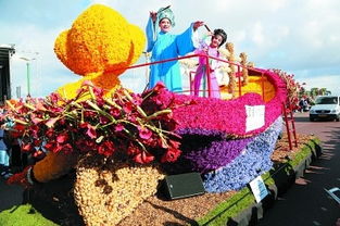 花卉杂交技巧揭秘：心动小镇新玩法解锁