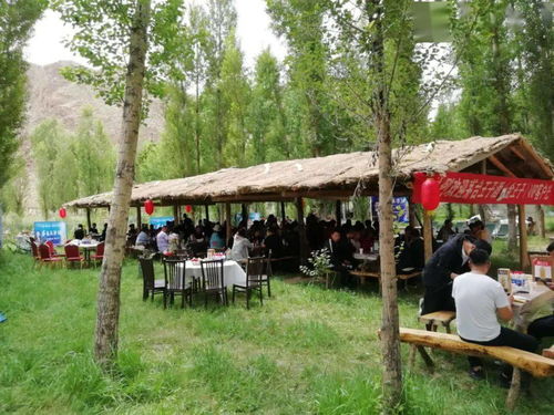 手机轻松体验《恋爱单选题》，解锁恋爱技巧新姿势