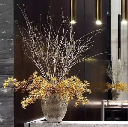 《星落》徽章套装新功效，揭秘神秘价值大揭秘