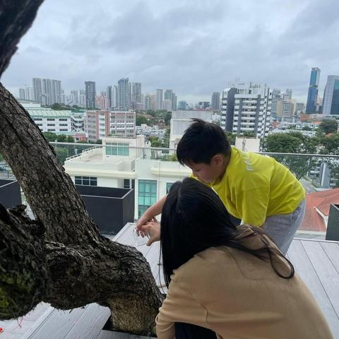 《无畏契约》2024全球冠军赛：深度解析全新赛制，揭秘电竞巅峰对决新价值