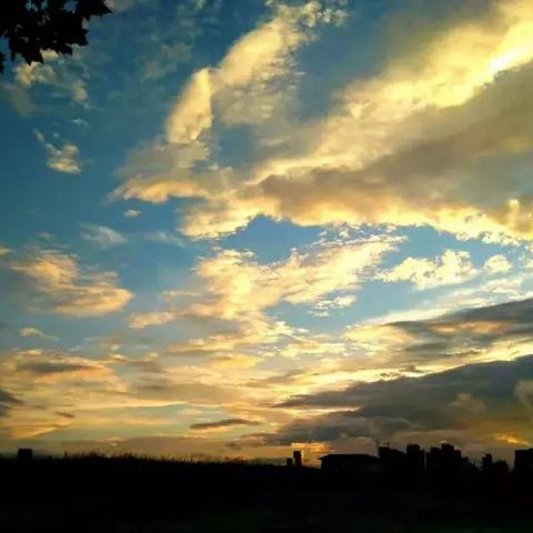 彩虹天钓鱼攻略：心动小镇独门秘籍大公开