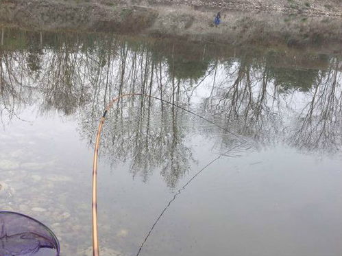 《心动小镇》钓大马哈鱼秘境揭晓，解锁新钓点攻略