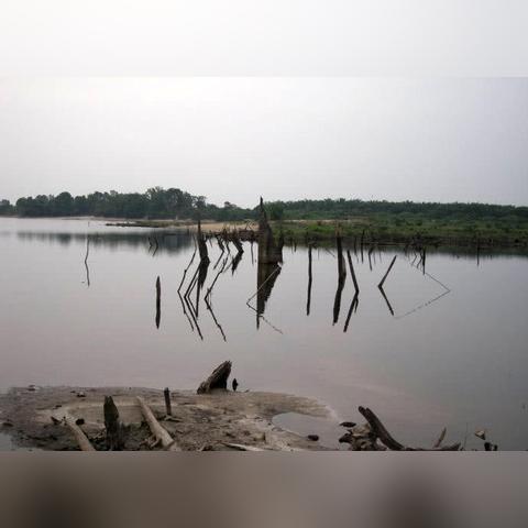 白梭吻鲈钓点揭秘：心动小镇独家秘境揭晓