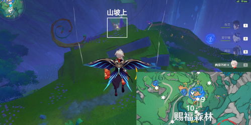 《原神》4.8版本赐福森林飞羽攻略，轻松收集欢声宝藏